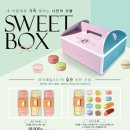 마리웨일 이미지