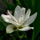 아산가든 이미지