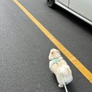 문천주해물해장국 | {이니 일상} 백수의 삶....ㅎ