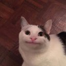 은지슈퍼 이미지