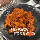 우체국사거리_상 | 광주 남구 봉선동 닭발 맛집 숯과닭발 늦게까지 하는 고깃집 주차 웨이팅 내돈내산 솔직후기