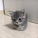 전망좋은곳 이미지