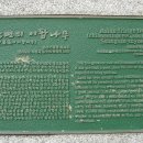 순천-35호 이미지