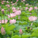 백마강주유소 이미지