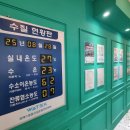 워텍스스위밍&키즈