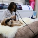 이을동물병원 이미지