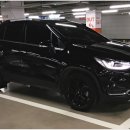 VIP펫