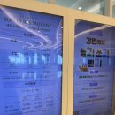 프랜들리 | 내돈내산 쏠비치 삼척 반려동물 동반 호텔 스위트 펫 프랜들리 객실 후기 (쏠비치 강아지)