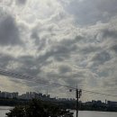 신세계 정육식당 네이버블로그