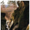 도선동천 이미지