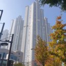 탄현약국 이미지