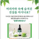 탑메딕
