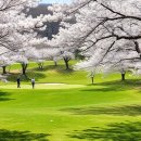 화정파크골프장 이미지