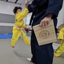 푸른하늘태권도장