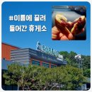 정읍 가는 길에 들린 익산미륵사지휴게소 :: 여기 호두과자 일부러 들릴 정도는?