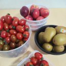 대왕청과 이미지