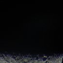 새보람유치원 이미지