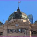 강남-142 이미지