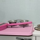 경주 별빛키즈 애견 풀빌라 이미지