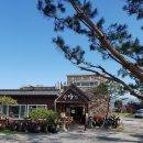 지내고탄로 이미지