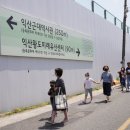 병아리소풍 이미지