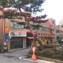 차호인정형외과의원 이미지