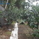 서홍동-10 이미지