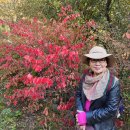 운길산역 이미지