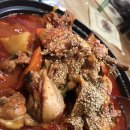 송원애견 이미지