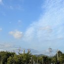 춘천바이오산업진흥원 | 한국바이오협회 바이오인재양성 GMP 교육 춘천바이오산업진흥원 3주 후기