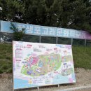 축제마을 | 울산 여행 코스 장생포 고래문화마을 수국축제 솔직 후기
