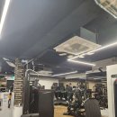 101퍼센트짐 이미지