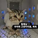 함께냥 본점 이미지