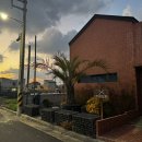 막내카써비스 | 제주 혼자 여행 숙소 추천 | 함덕해수욕장 게스트하우스 ‘막내돼지’