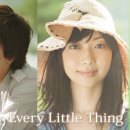 everylittlething