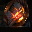 산애들애펜션 | 태안 안면도 애견동반 가능한 산애들애펜션