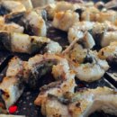 힘센 민물장어 이미지