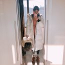 차오름동물병원 이미지