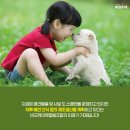 비오케이펫협동조합