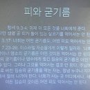 최승정 신부의 성서 백주간 2 (제28회 파스카 2) 이미지