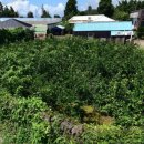 이석호공인중개사사무소 이미지