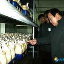 한국그린영농조합법인 뉴시스