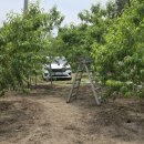 솔라공인중개사사무소 이미지