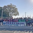 당진3동 이팝나무 이미지