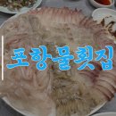 포항 물횟집 | 부산 서면 횟집 추천: 원재료의 격이 다른 '포항물횟집' 7만원 코스 솔직 후기