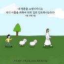새일과새시대