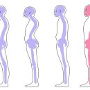 플렉스씨