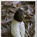 대나무골 이미지