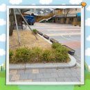 배곧한울초등학교 네이버블로그