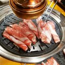 인생소갈비살